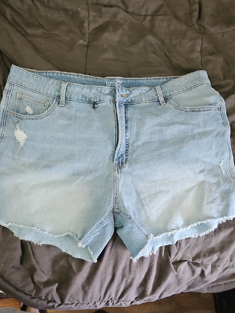 Terra & Sky Light Blue Distressed Denim Cutoff Shorts